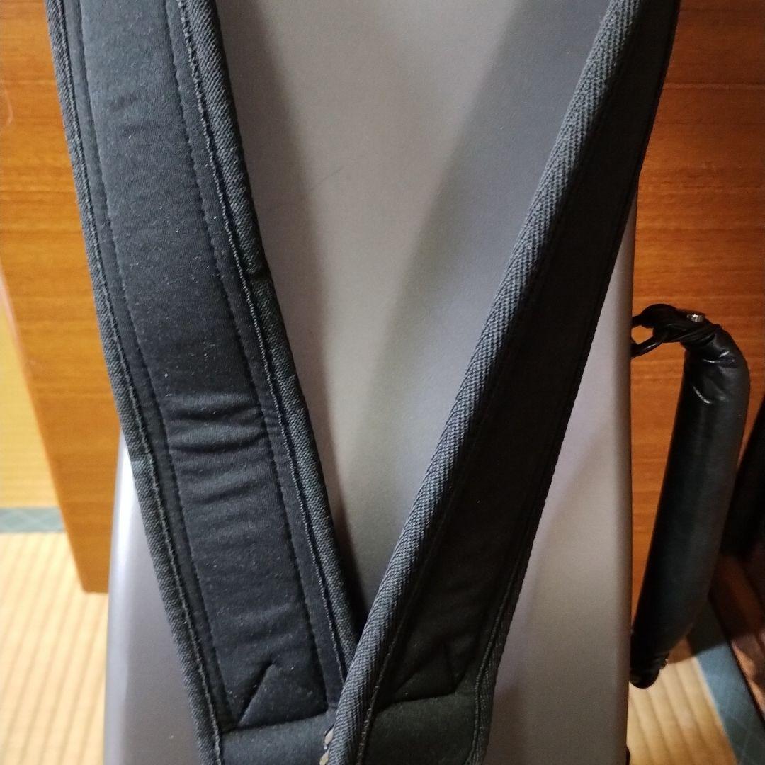 バイオリンケ-ス