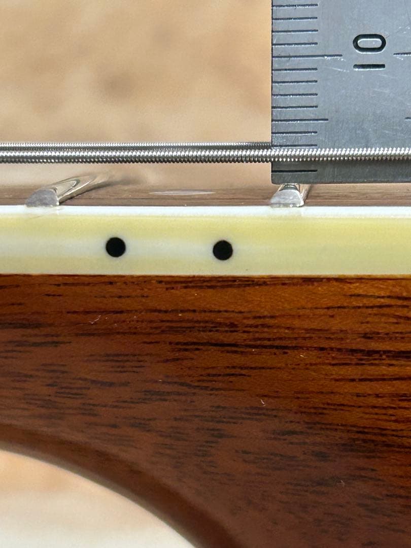 J Lee ニューヨークスタイル・アコースティックギター