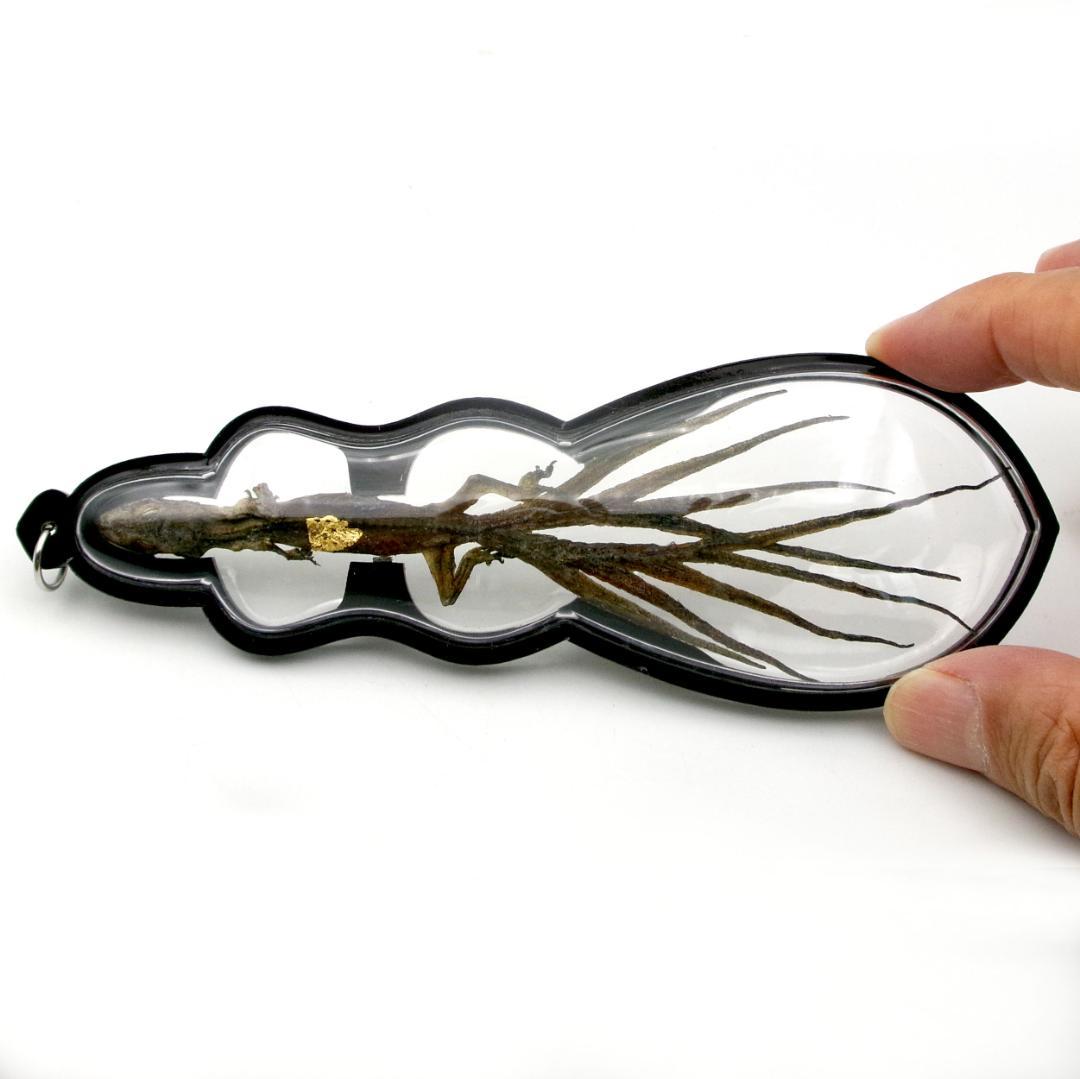 タイ お守り 9尾のトカゲ ヤモリ ギャンブル ビジネス運 現地購入