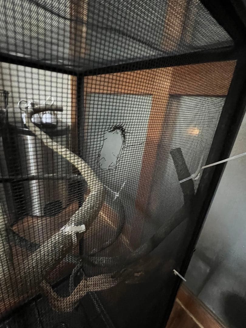 エキゾテラメッシュゲージセット