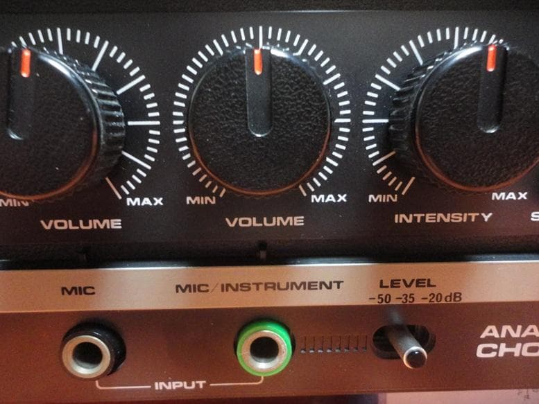 T*o様 Roland DC-30 Vintage Analog Delay　ロ