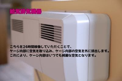 新品未使用｜防音ケージ｜小型犬向け｜キャスター付き｜ヒノキ材｜005