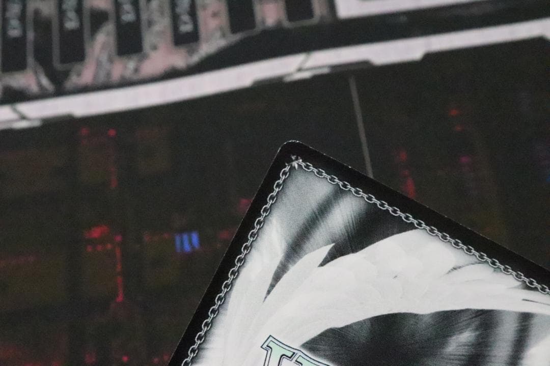 ふわもこ夢心地 望月杏奈 SSP サイン 44-MY0921-12C