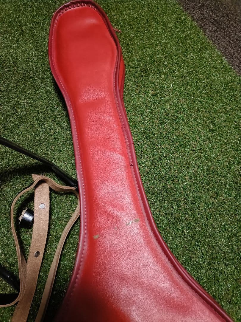 アリアプロ2 エレキギターCS350