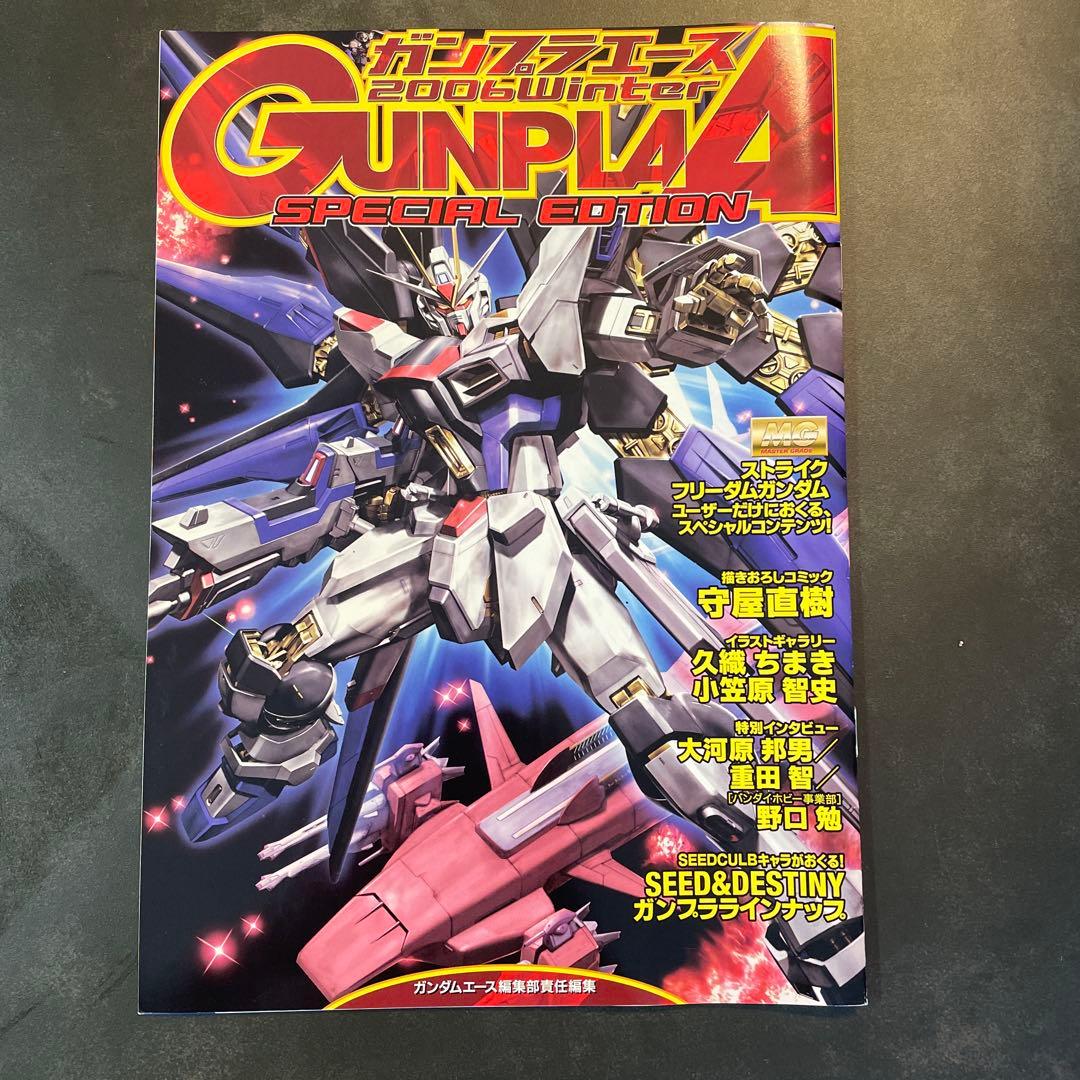 新品未使用！MG ストライクフリーダムガンダム フルバーストモード