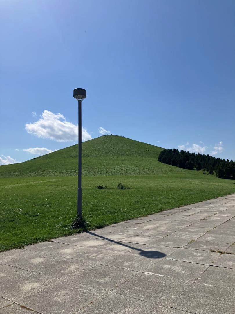 フィルムカメラ hatchi