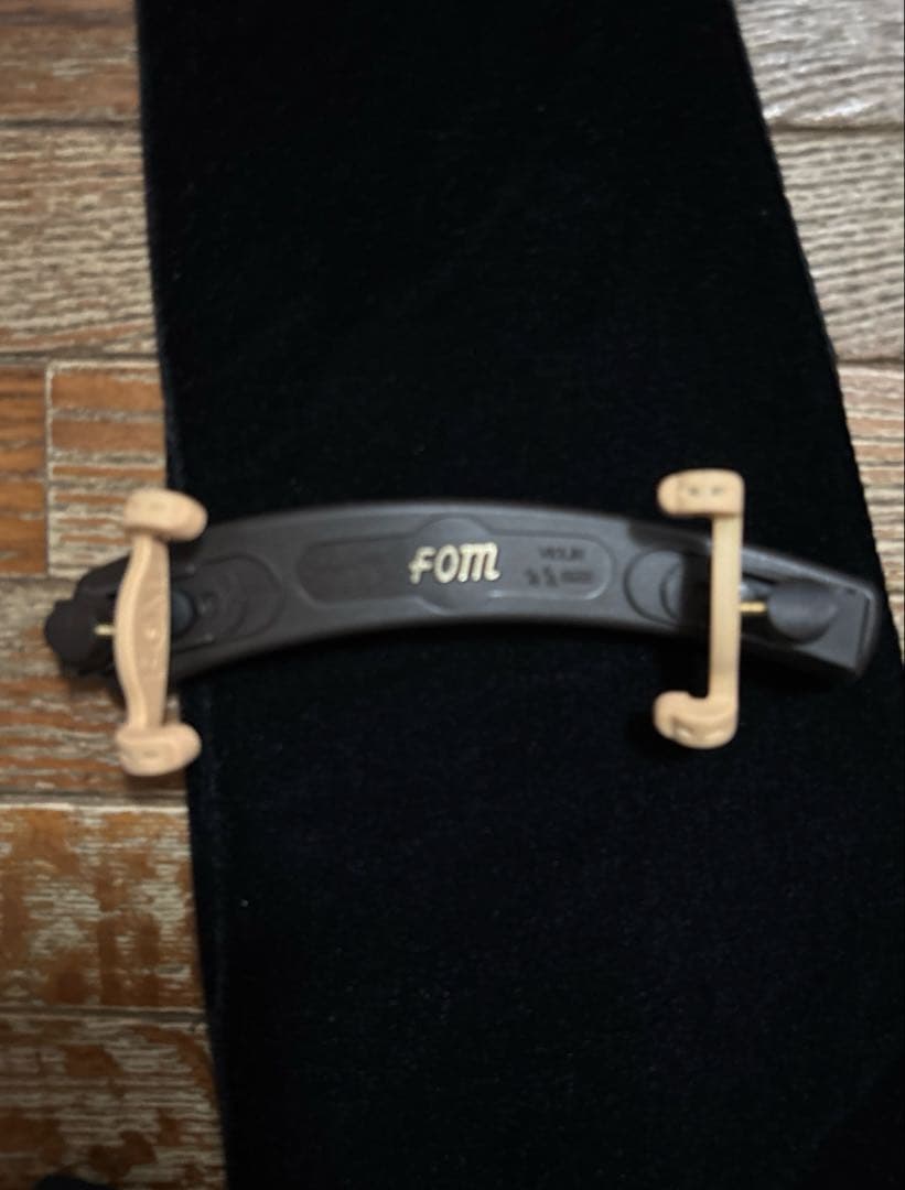 【ほぼ新品】カルロジョルダーノ バイオリンセット VS-1 4/4