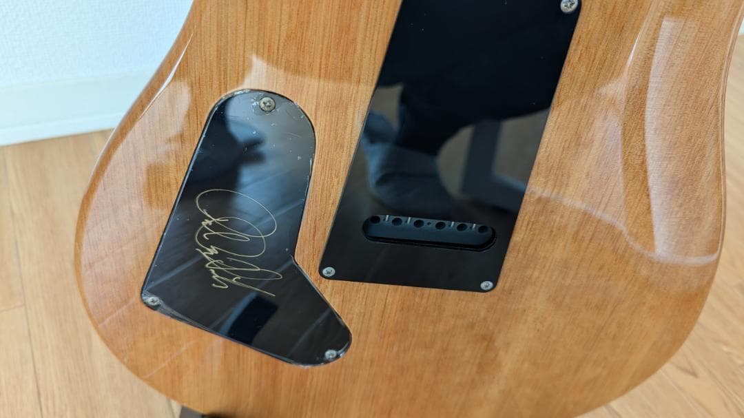 PRS Custom24 SE 保証期間有 必要なもの全て付いてます。【美品】