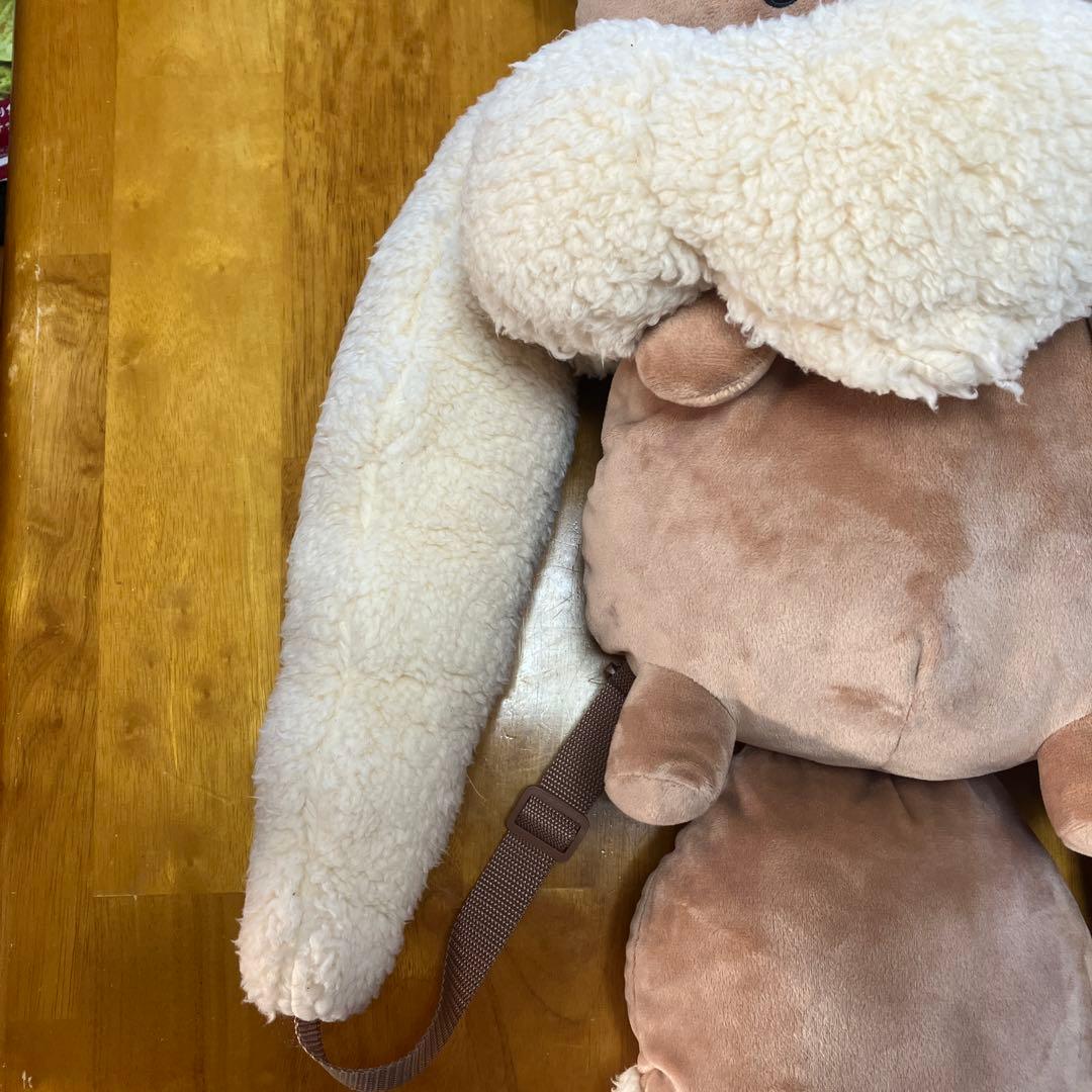 ボタンのイーブイリュック