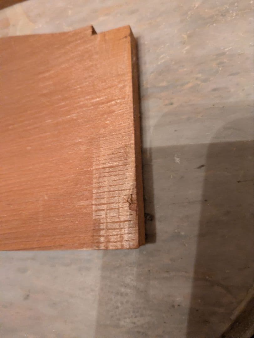 おんちゃん様確認