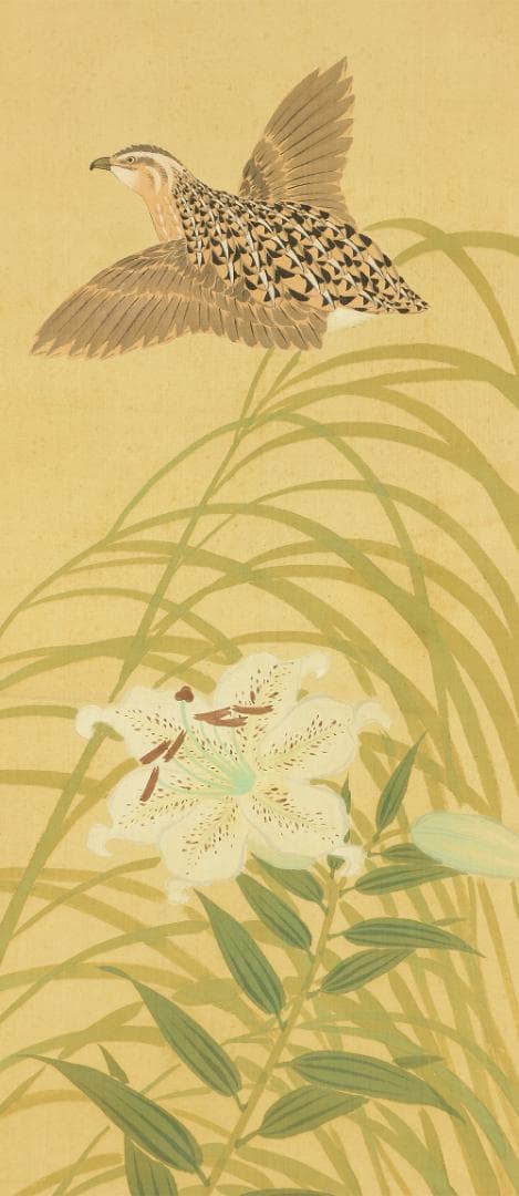 猪巻清明  明治27~昭和49 川合玉堂師事 掛軸 肉筆 絹本 鶉に百合 合箱