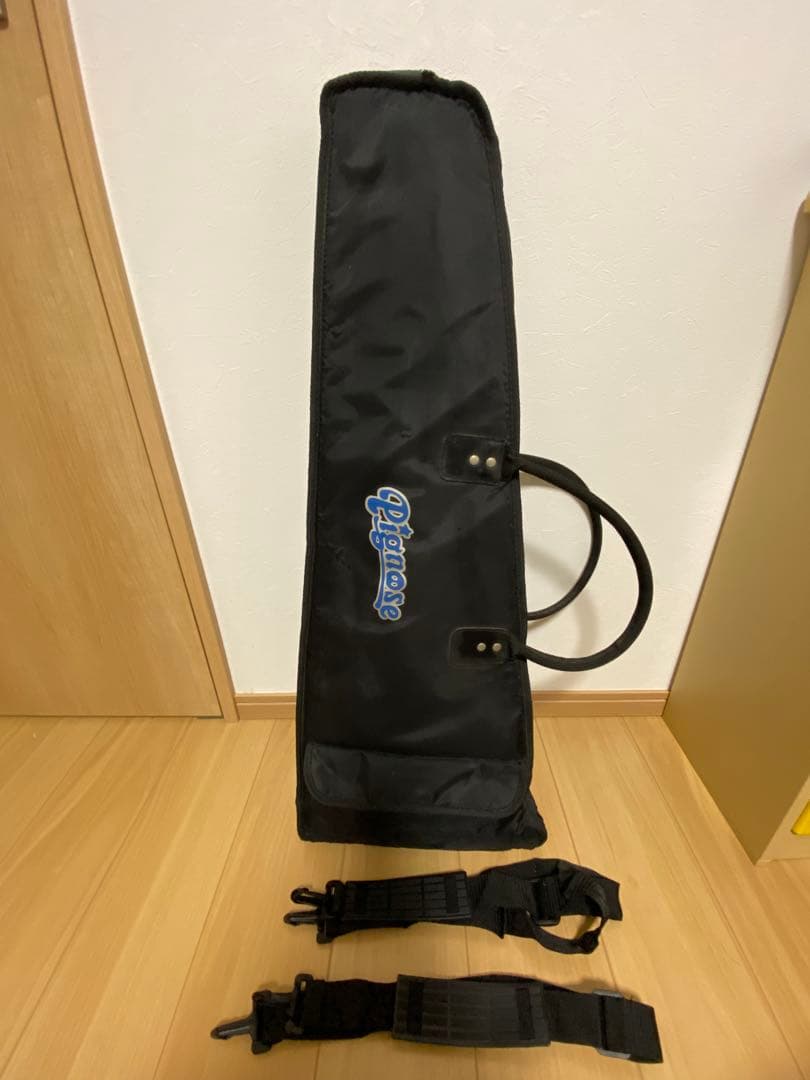 ギター PIGNOSE GUITAR PGG-200 CA