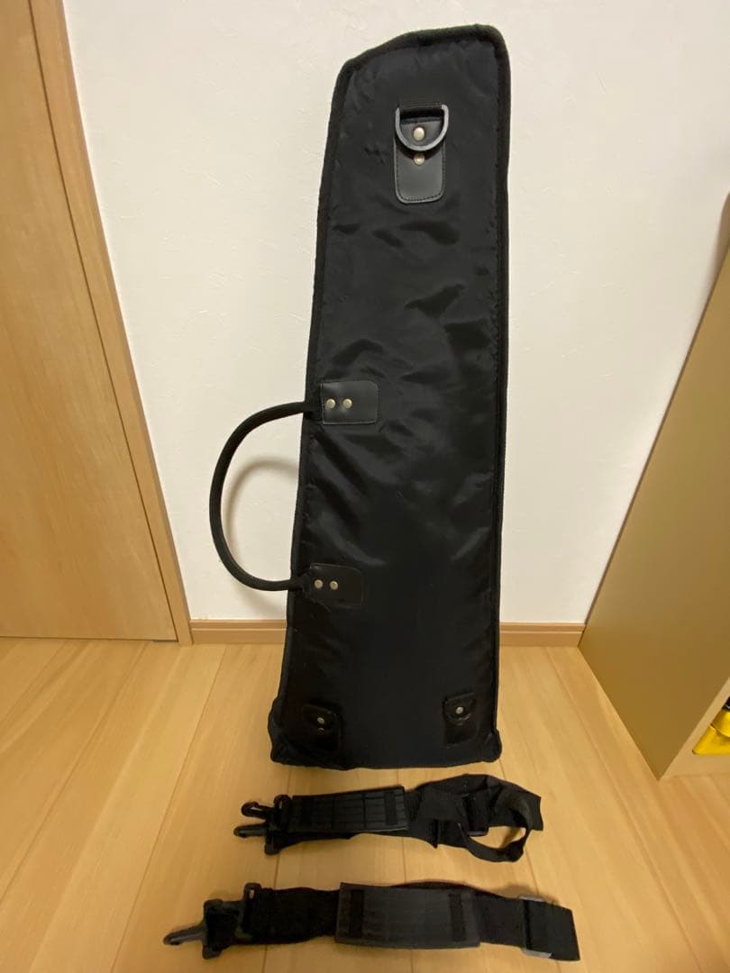 ギター PIGNOSE GUITAR PGG-200 CA