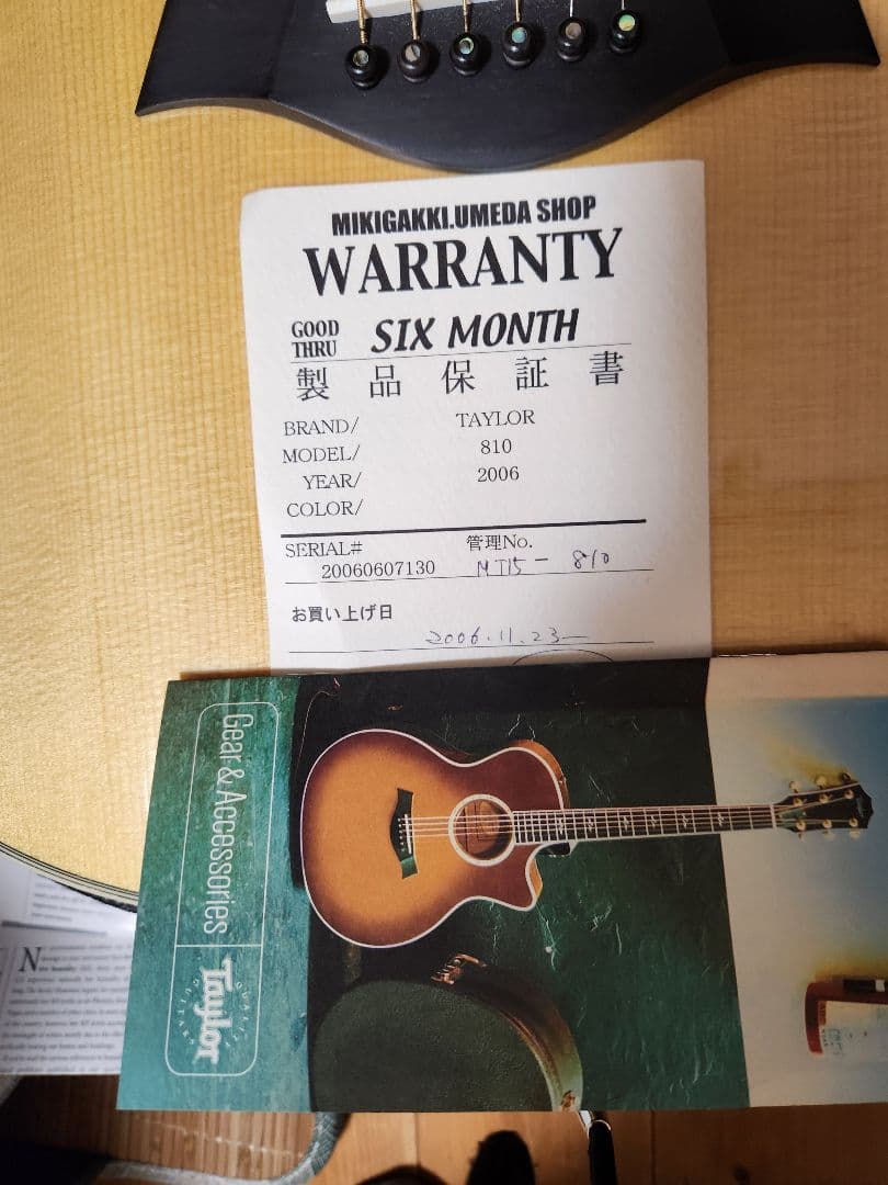 【コブクロ 小渕健太郎さん愛用】Taylor 810 テイラー