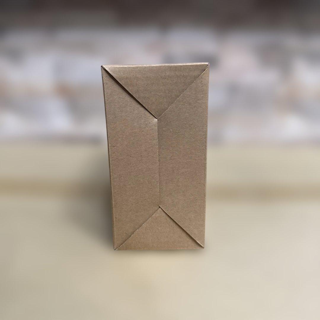 仮面ライダーカブト ライダーフォーム 10th Anniversary Ver