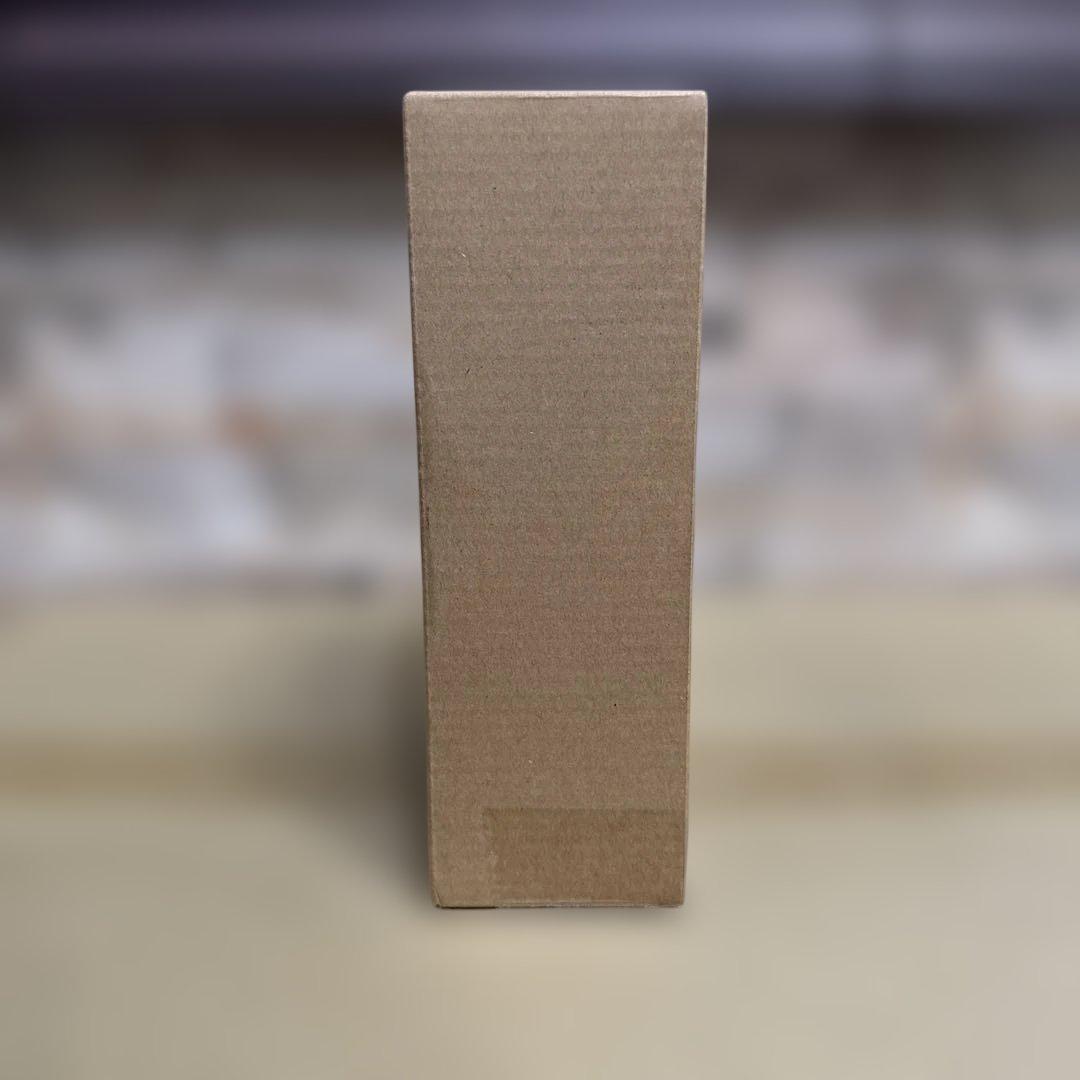 仮面ライダーカブト ライダーフォーム 10th Anniversary Ver