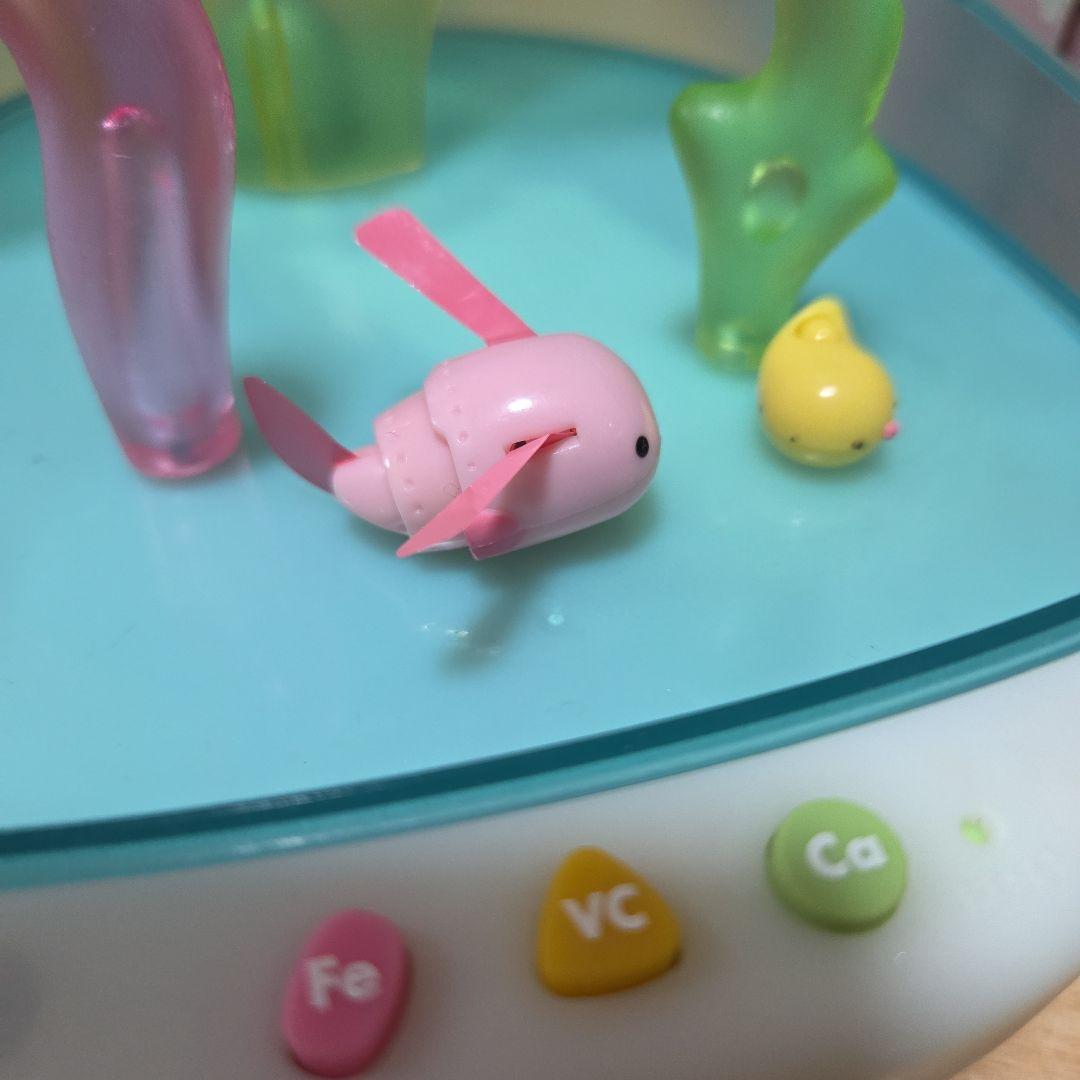 MUTSU　ウォータールーパー　ムツ