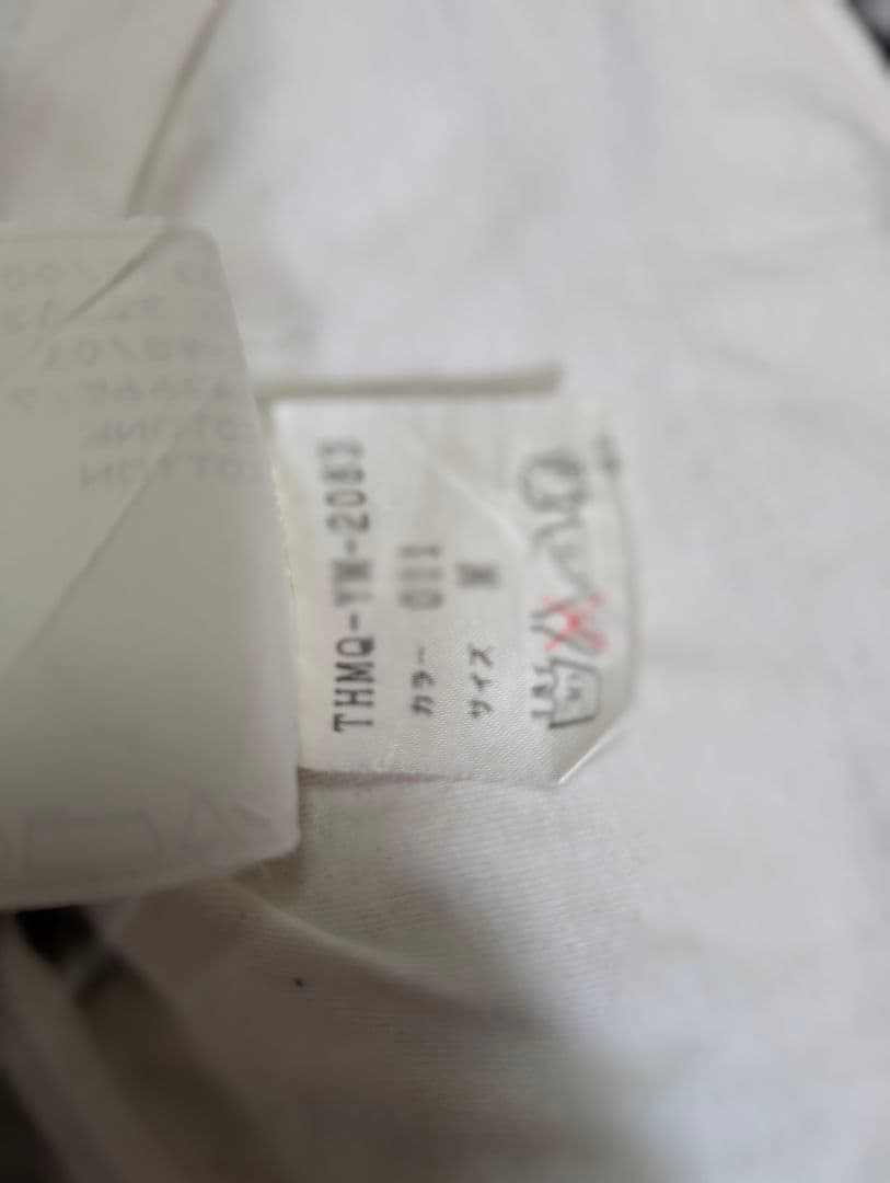 【激レア】アレキサンダーマックィーン本人期