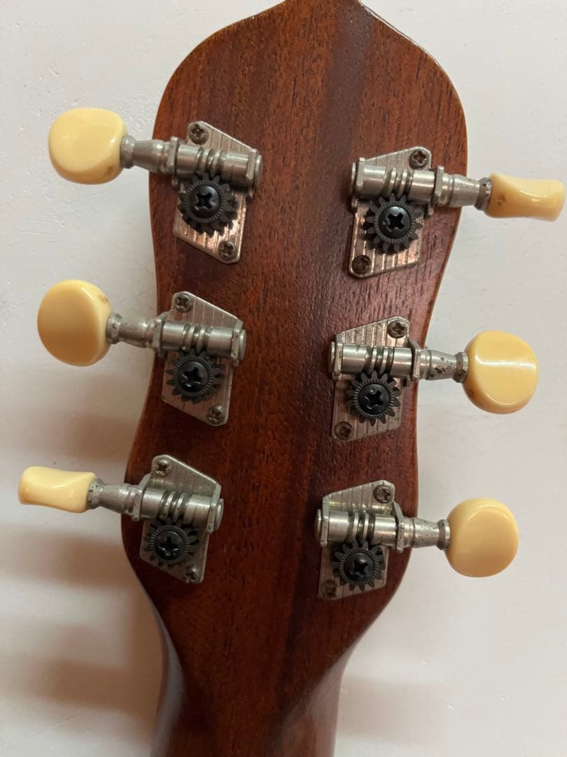 ギグパッカー　GPF-1