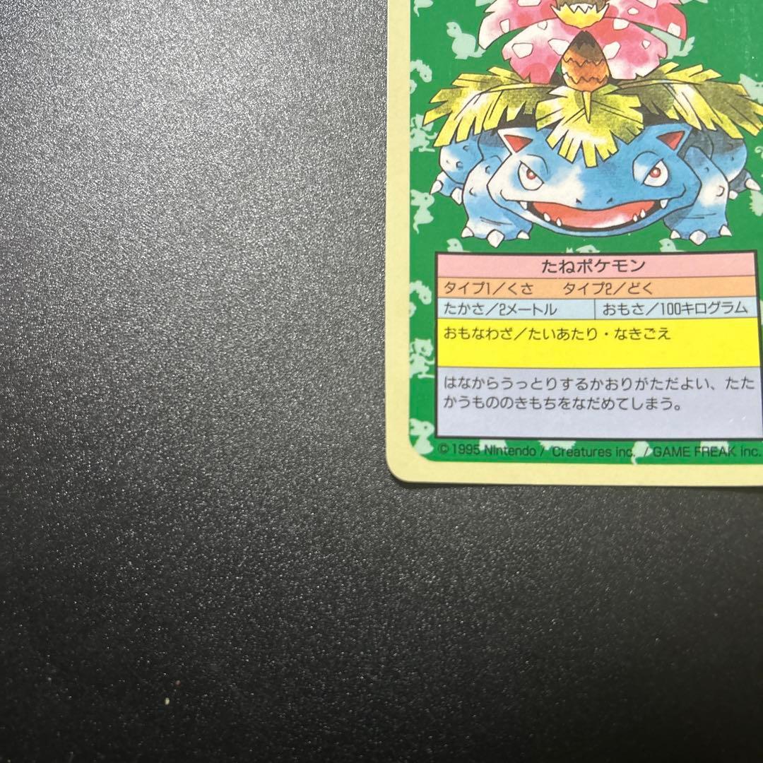 ポケモンカードゲーム フシギソウ フシギダネ 旧裏 トップサン エラー