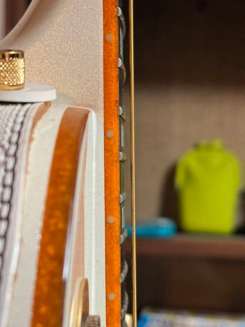 Epiphone Wildkat トンデモ改造品　ビザールギター