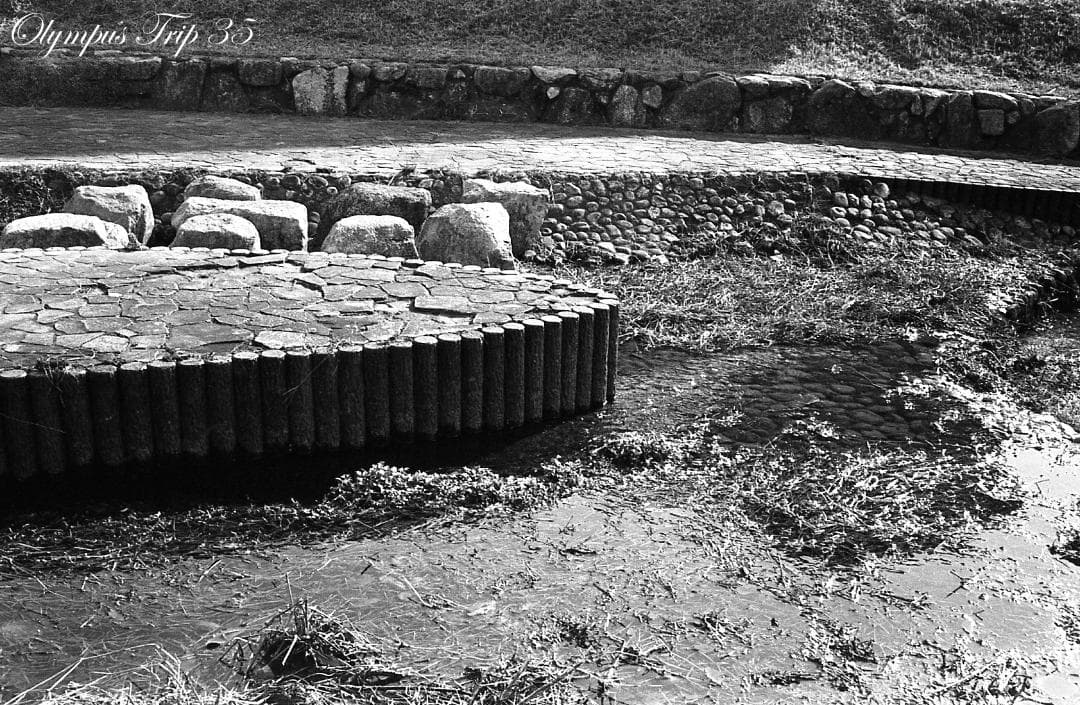 【整備済完動品作例あり】Olympus Trip 35 コンパクトフィルムカメラ