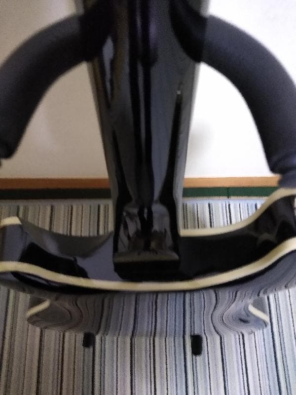 エレキギター セミアコ PRS SE