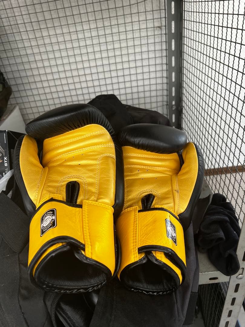 TWINS ボクシンググローブ 16oz 黒/赤