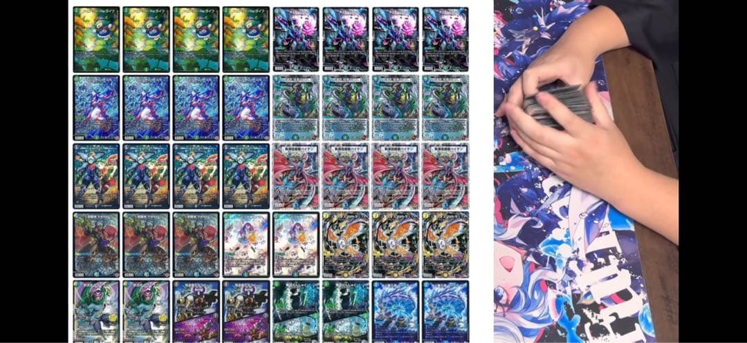 アナカラーシノビ