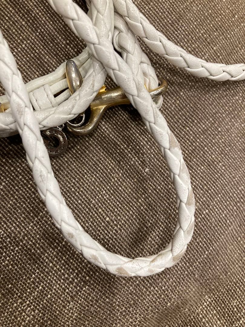 atelier gg カラー＆リード セット