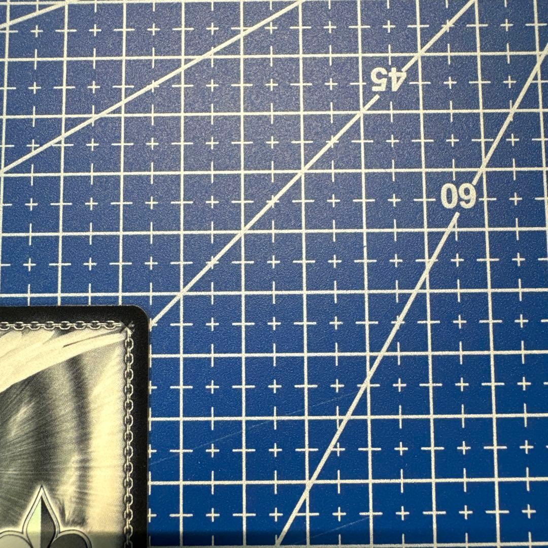 WSヴァイス 角川スニーカー文庫 帽子の少女 クトリ SP サイン　430