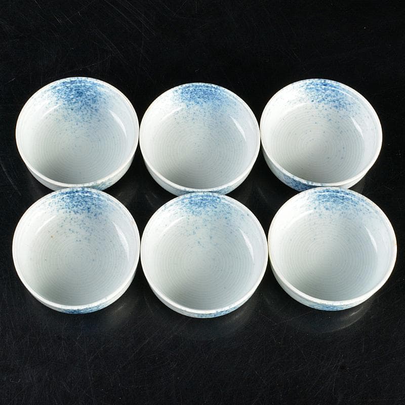 和食器　染付　吹墨文小皿　十二客　書付箱　V　R7437