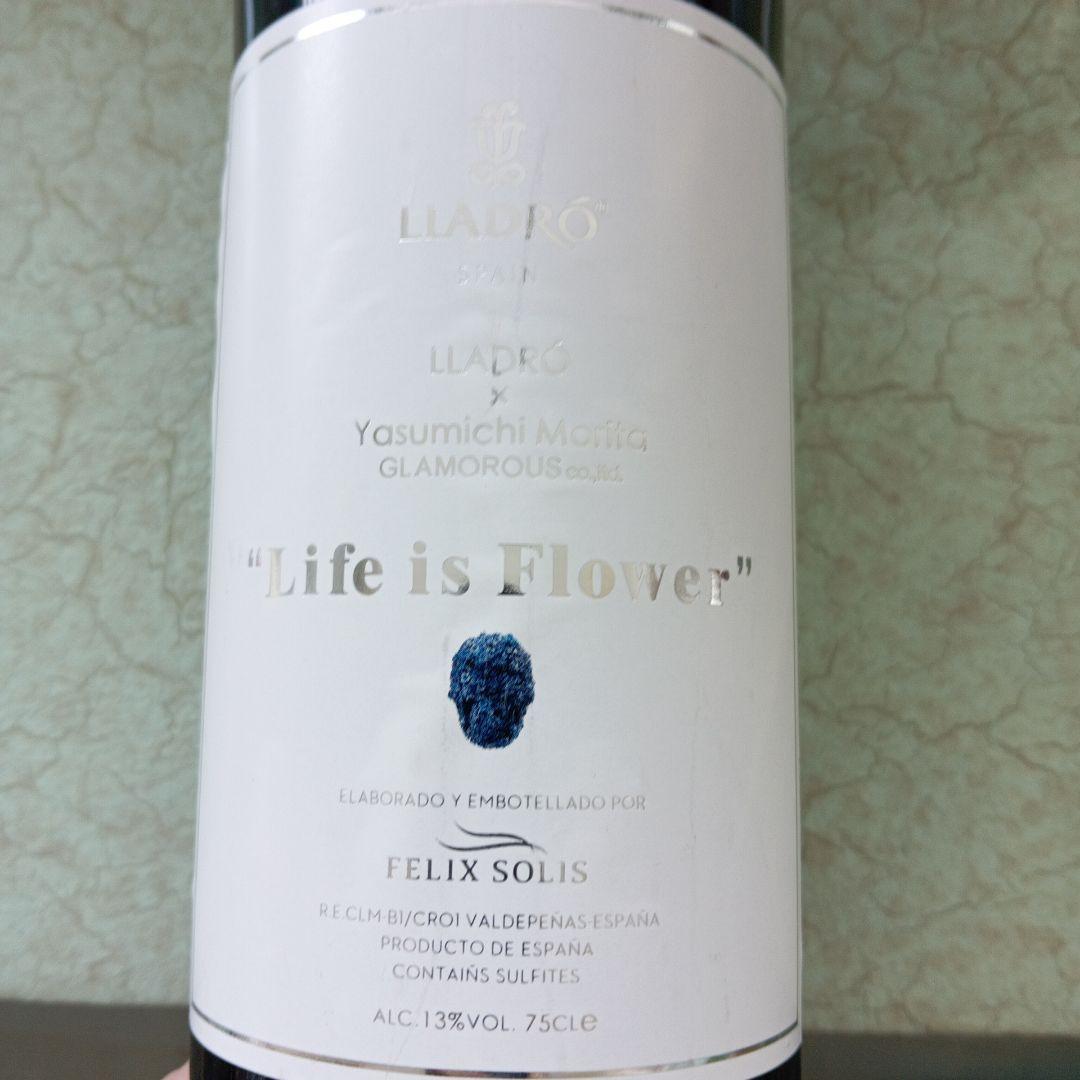 LLADRÓ Life is Flower リヤドロ　森田恭通　ワイン　激レア