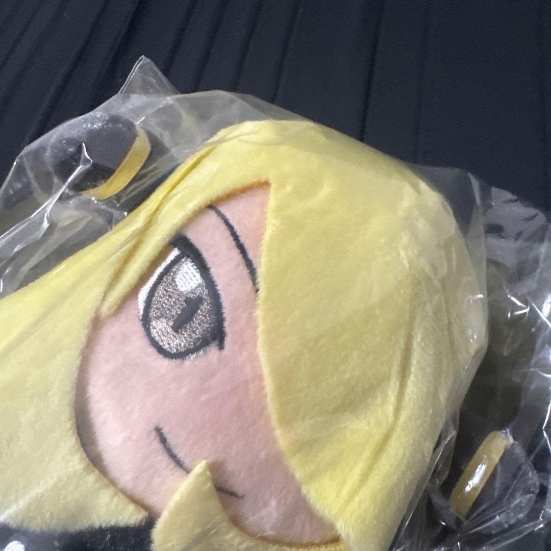 【新品未使用】ポケモン　トレーナー　シロナ　ぬいぐるみ　フィギュア　タグ付き