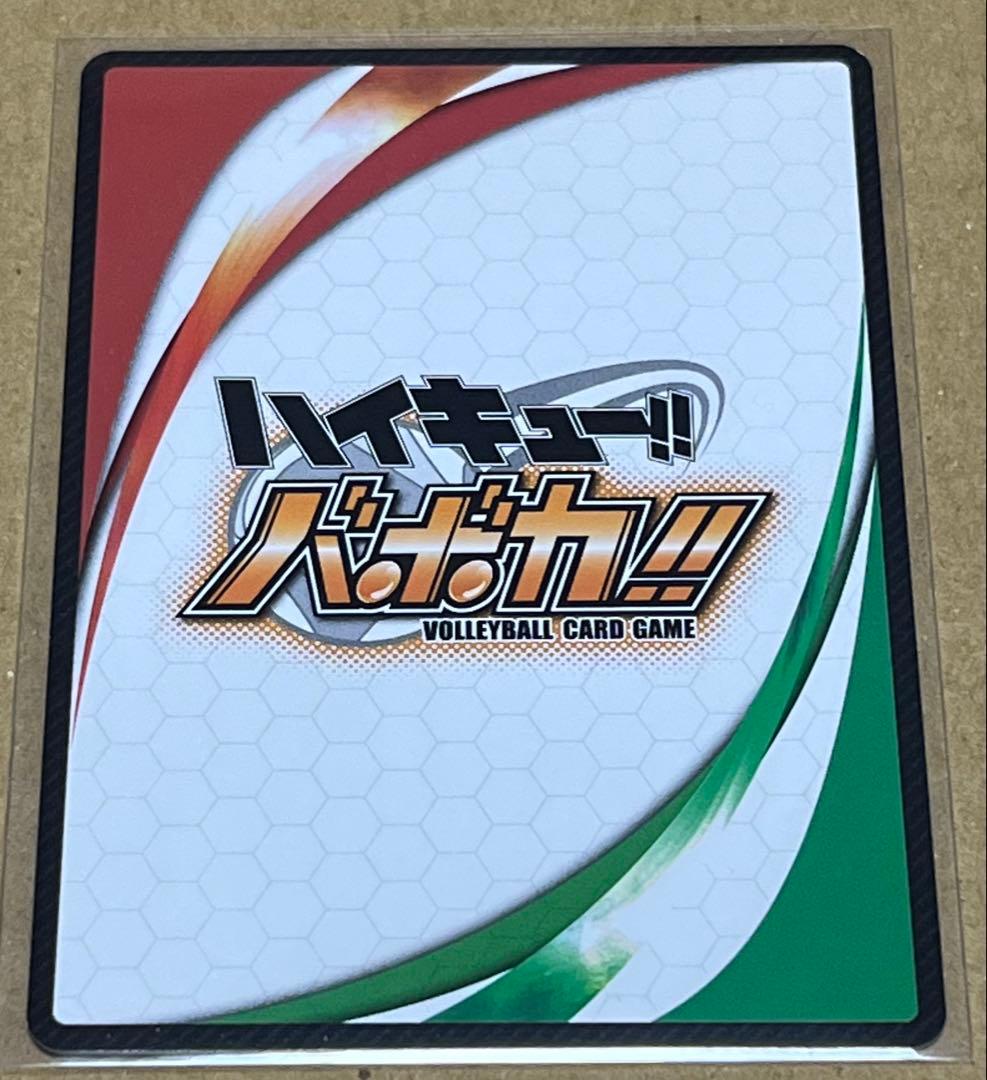 1640．ハイキュー バボカ 秘バボ サイン 日向＆影山 日向 影山