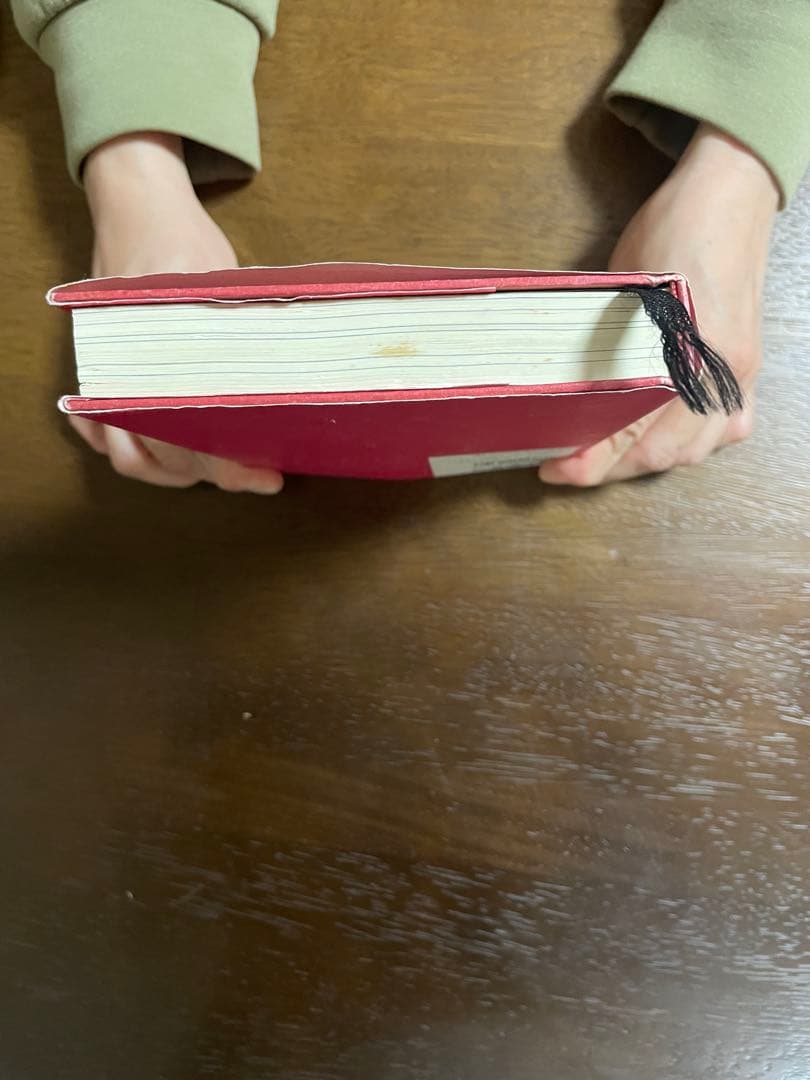 リアリティトランサーフィン　振り子の法則