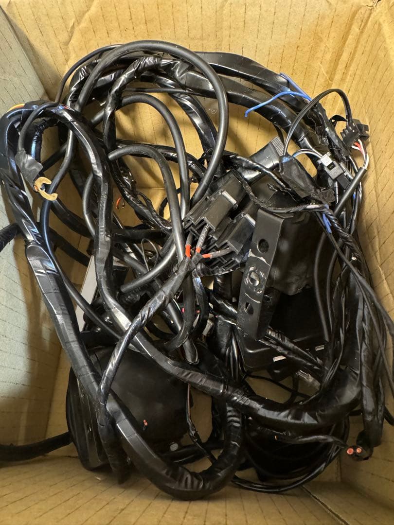 【希少】 IGLA 2 plus Grgo-1Vs セット