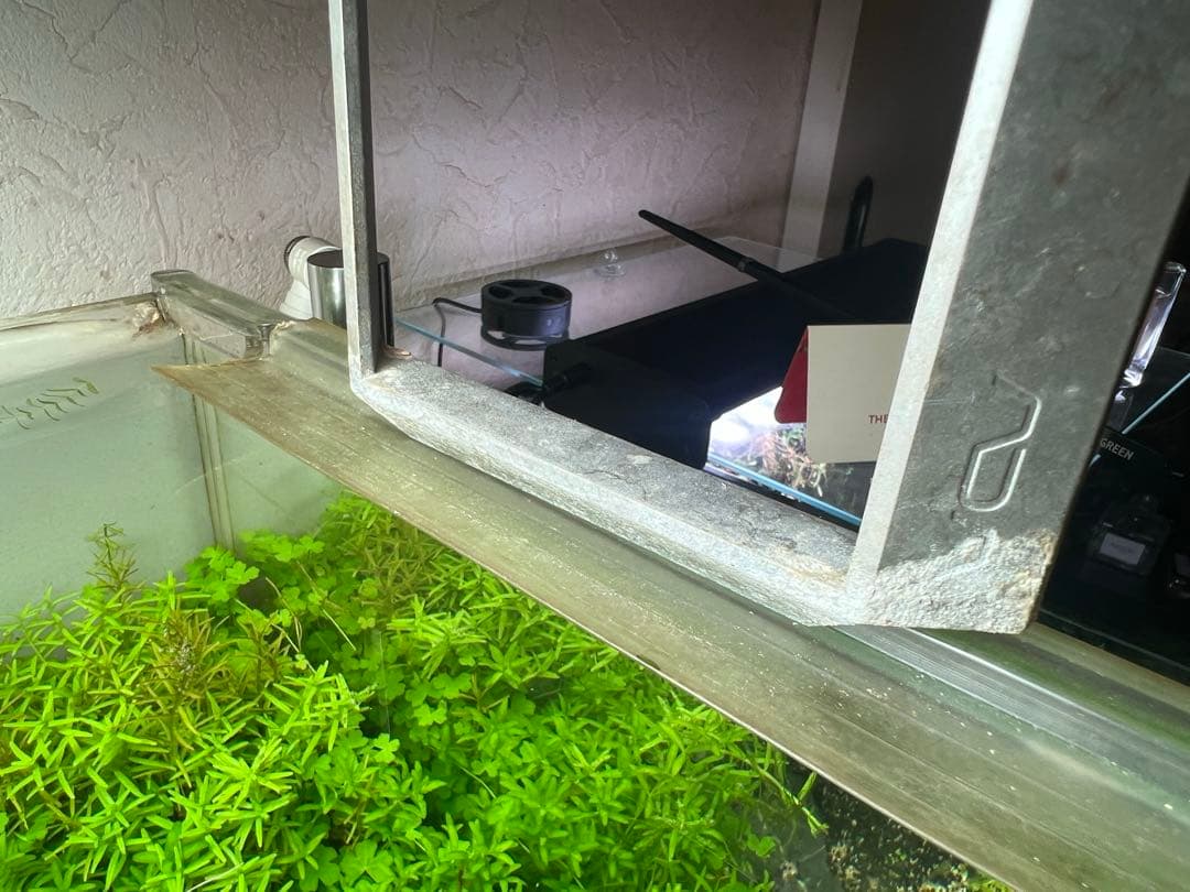 最終値下げ今日まで送料込み　ADA アクアスカイRGB 豪華おまけ付き