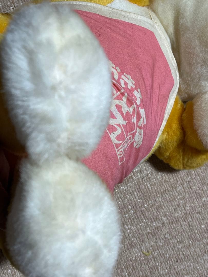 日清　起きろ兵衛　菊地桃子　どん兵衛