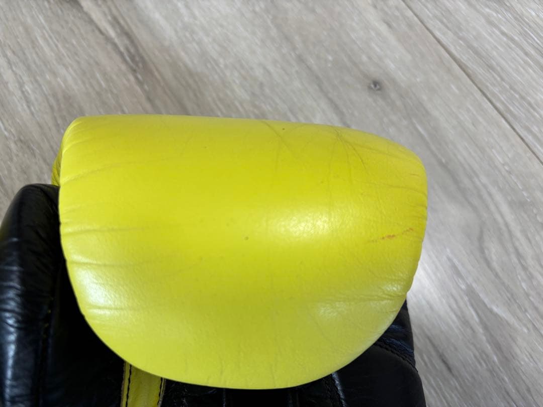 定価:29,800円 EVERLAST POWERLOCK 8oz