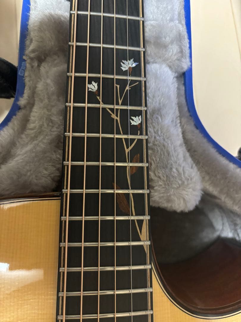 ギター naga guitars s-gac60