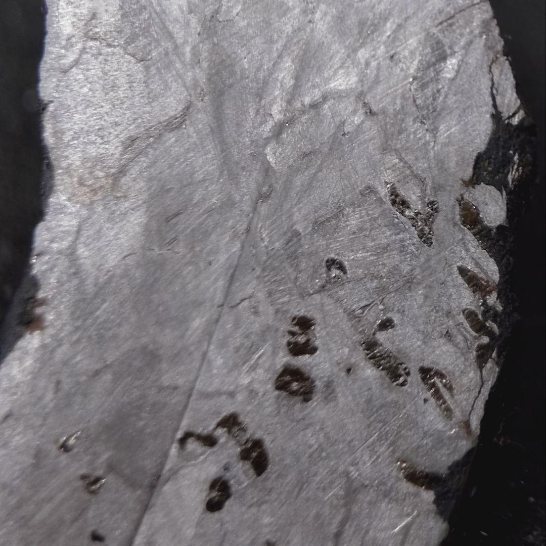 ギベオン隕石（スライス）　12.5g