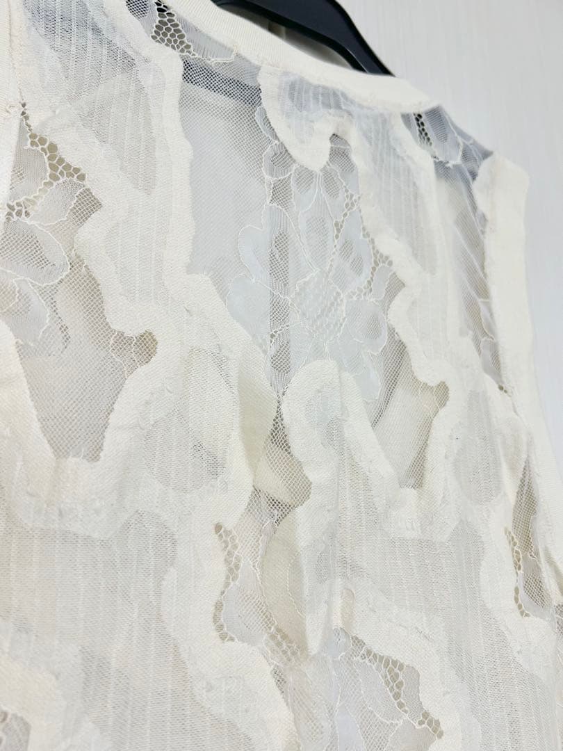 25SSフレームワークESTHE OVERSIZED SHEER LACE V