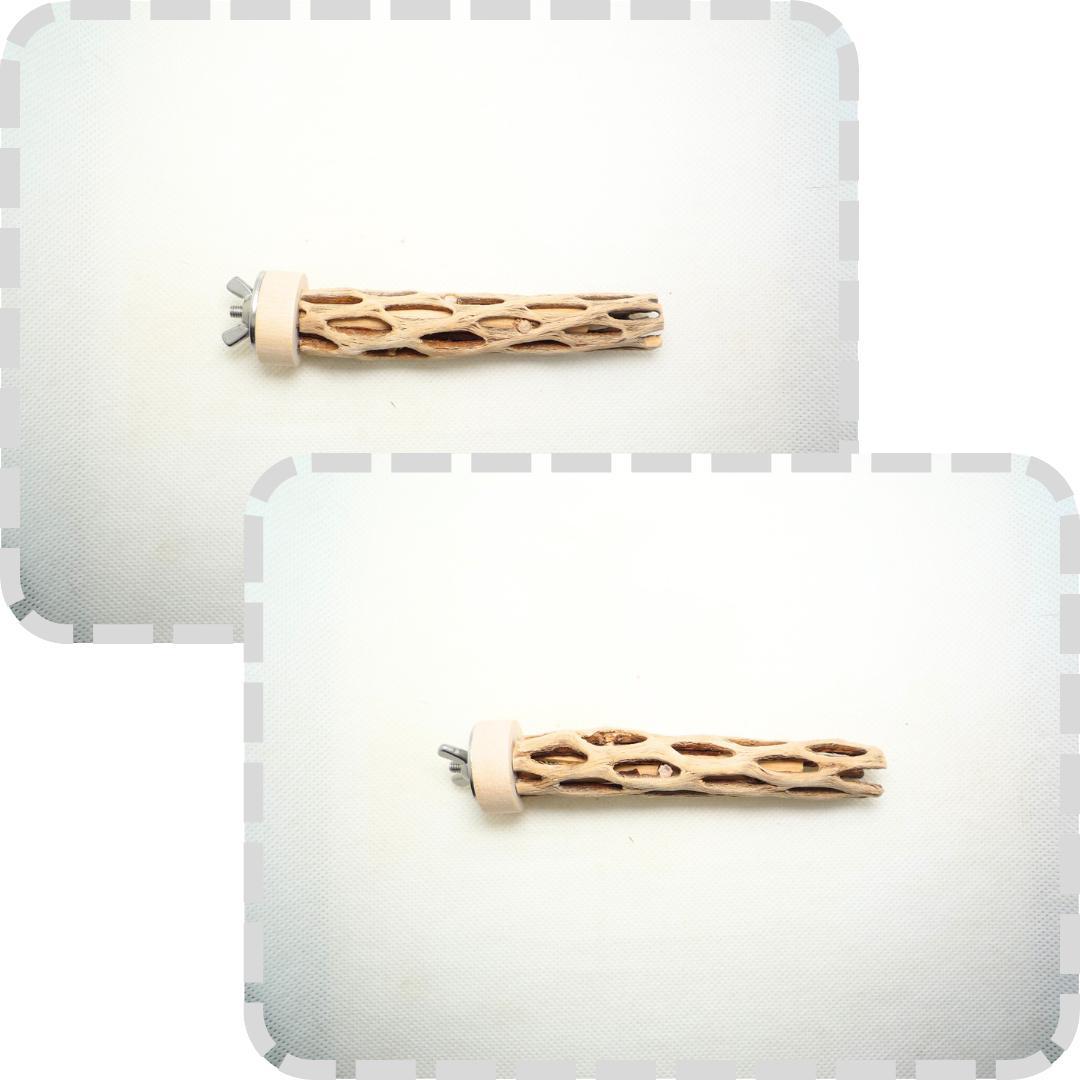 R@　おまとめ　カクタスパーチ　３本