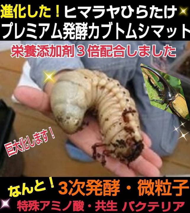 増量50L☆プレミアム3次発酵カブトマット　特殊アミノ酸・共生バクテリア3倍配合
