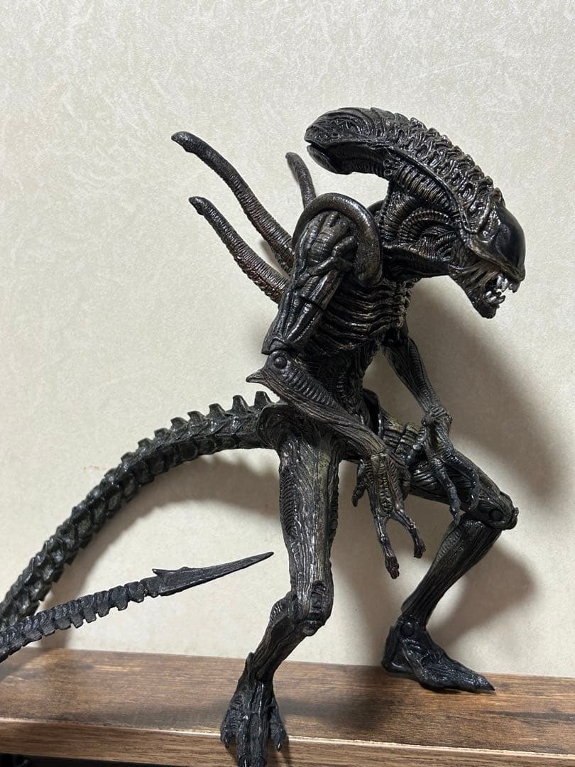 NECA ネカ エイリアンVSプレデター ウォーリア エイリアン リペイント