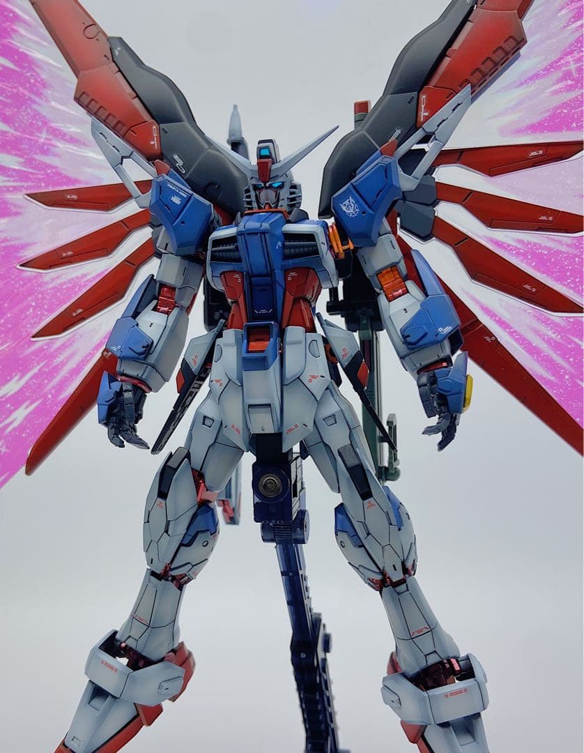 RGデスティニーガンダムSpecⅡ最終決戦イメージ 全塗装　“光の翼” セット