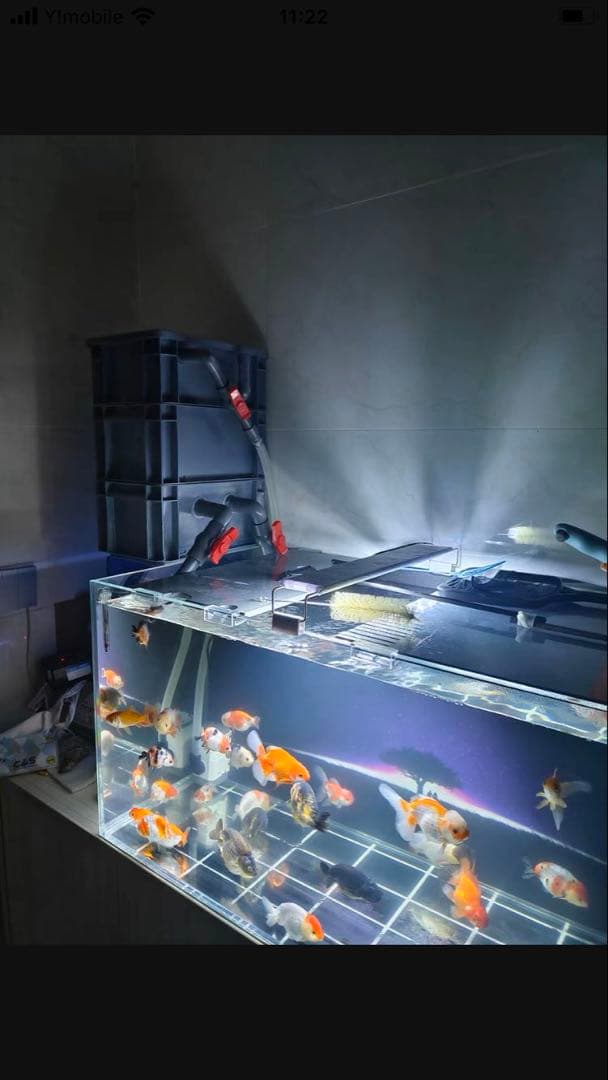 市場最安値、水中ポンプ25w付き大型水槽万能濾過装置濾過外部式濾過層送料込み