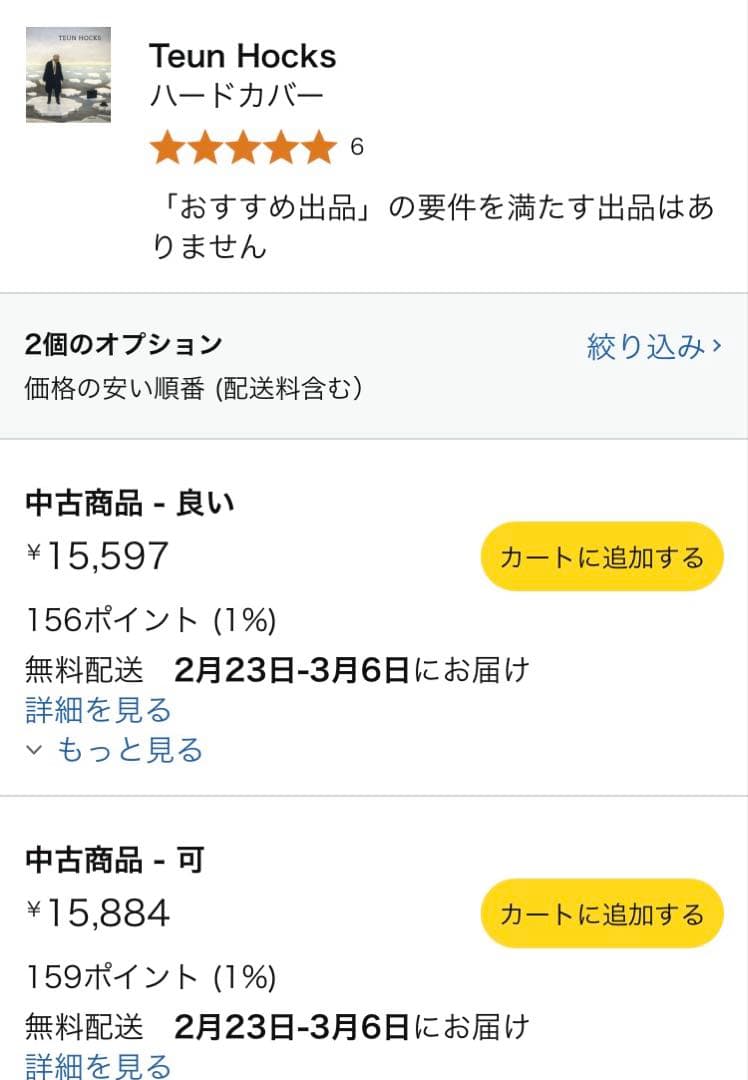 TEUN HOCKS 絵画集