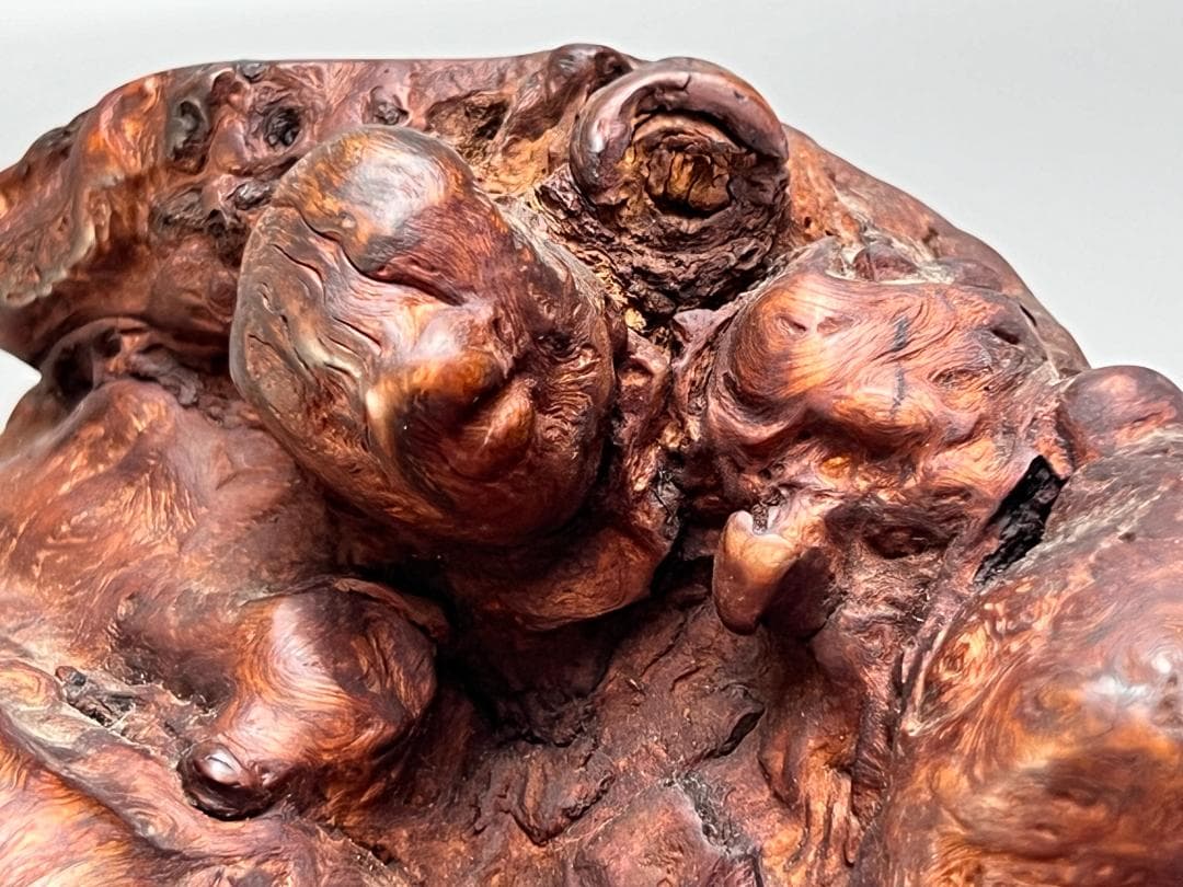 靈芝 竹雕搭天然樹瘤如意 長：47cm 古無垢材 天然木 根子彫 手彫り 置物